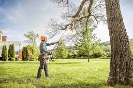 Trusted Rose Hills, CA  Tree Services Experts