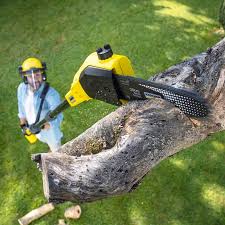 Lawn Pest Prevention in Rose Hills, CA